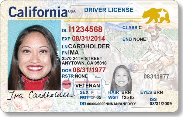 Regardless of immigration status, people in Minnesota can begin applying  for driver's licenses