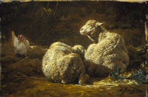 Sheep at Rest