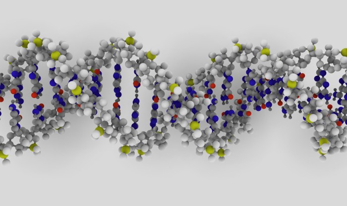 DNA - Wiktionary, the free dictionary