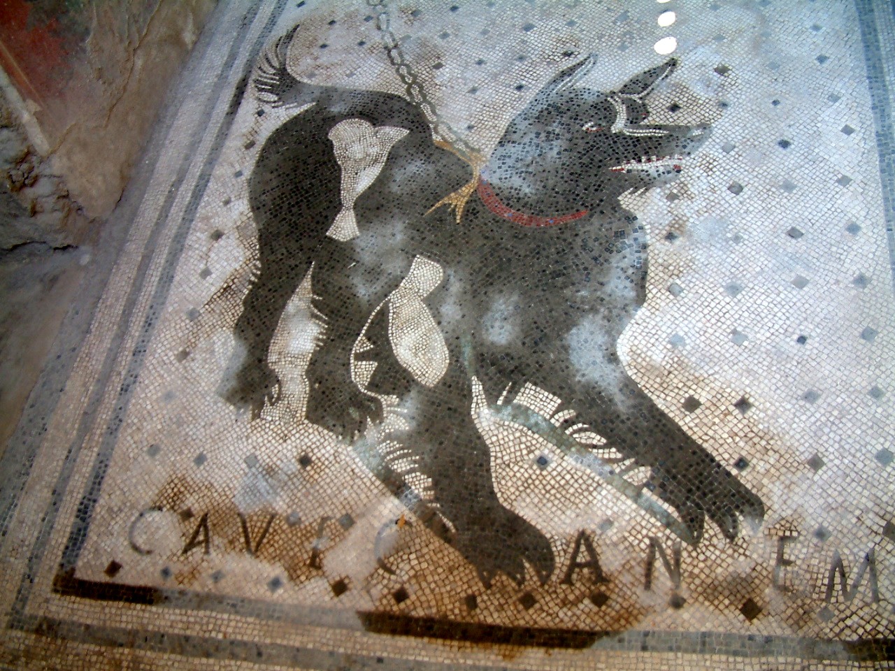 are dogs allowed in pompeii