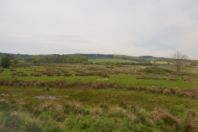 File:Exminster Marshes - geograph.org.uk - 5294196.jpg