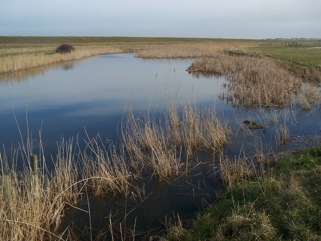 File:Fleet in St Mary's Marshes - geograph.org.uk - 1158032.jpg