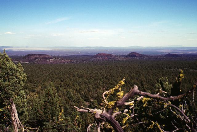 Photo of Four Craters Lava Field