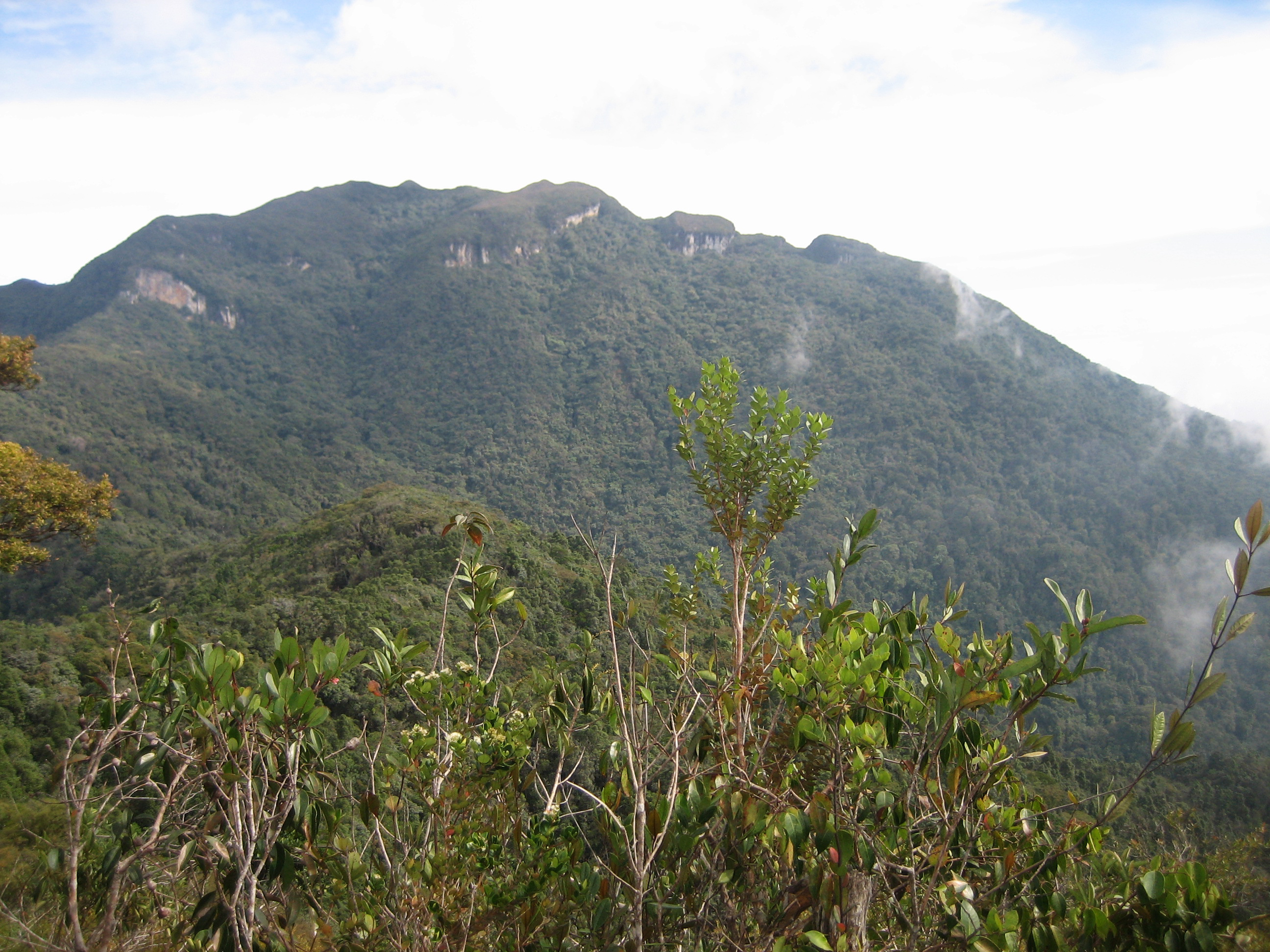 Mount Tahan Wikipedia