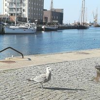 File:Hansestadt Wismar Hafen.jpg