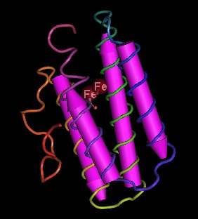 File:Hemerythrin.jpg