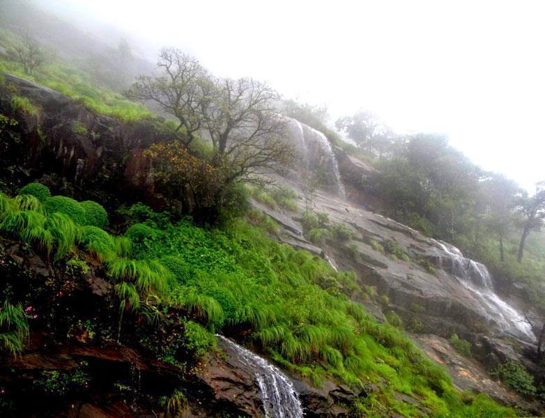 File:Kodekallu gudda - Charmadi ghat.jpg