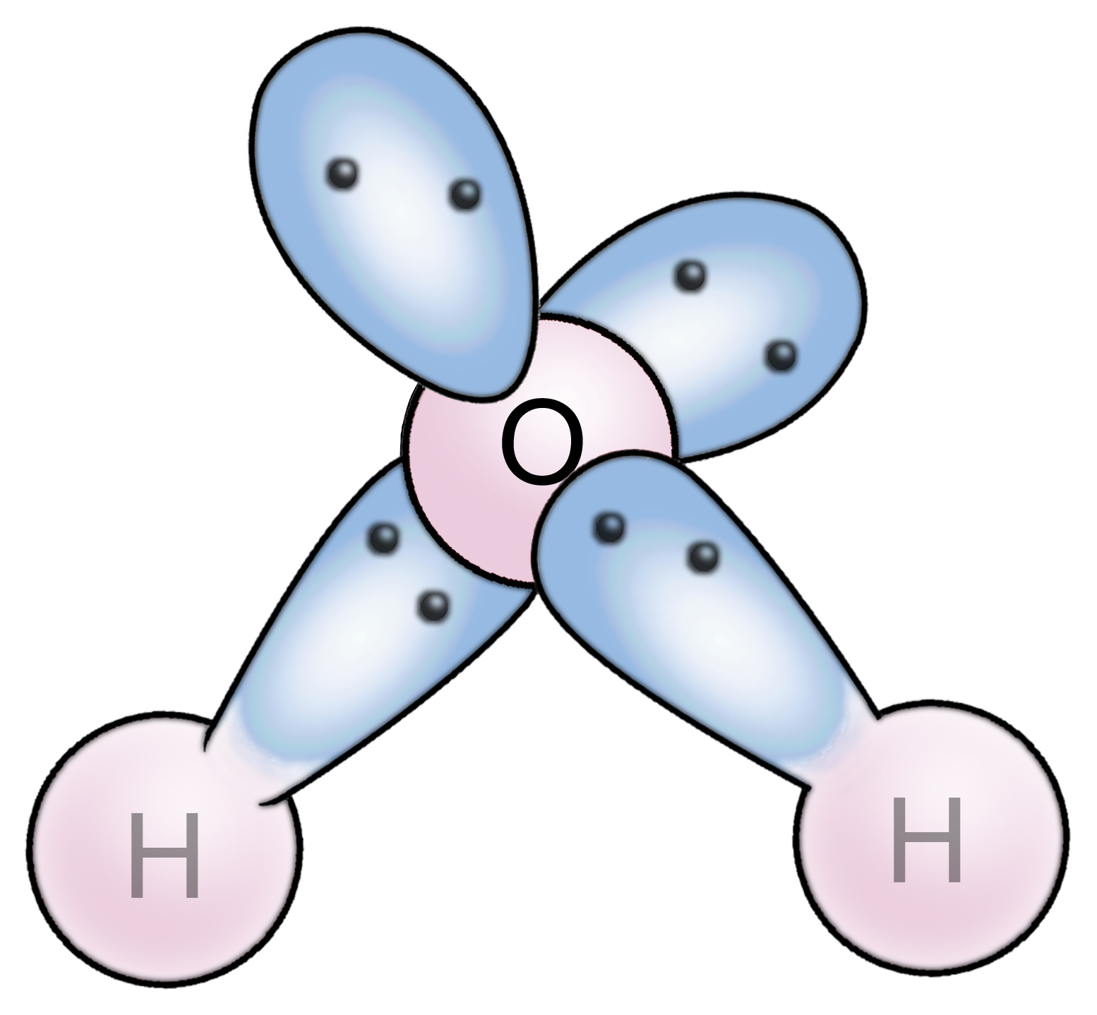 File:H2O polarity.svg - Wikimedia Commons