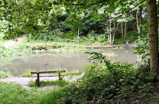 Nickie's Pool - geograph.org.uk - 1360217