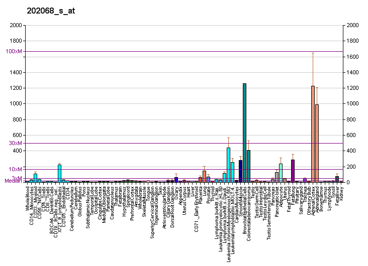 File:PBB GE LDLR 202068 s at fs.png