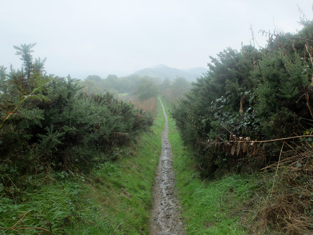 File:Path south from Summer Hill - geograph.org.uk - 3708491.jpg