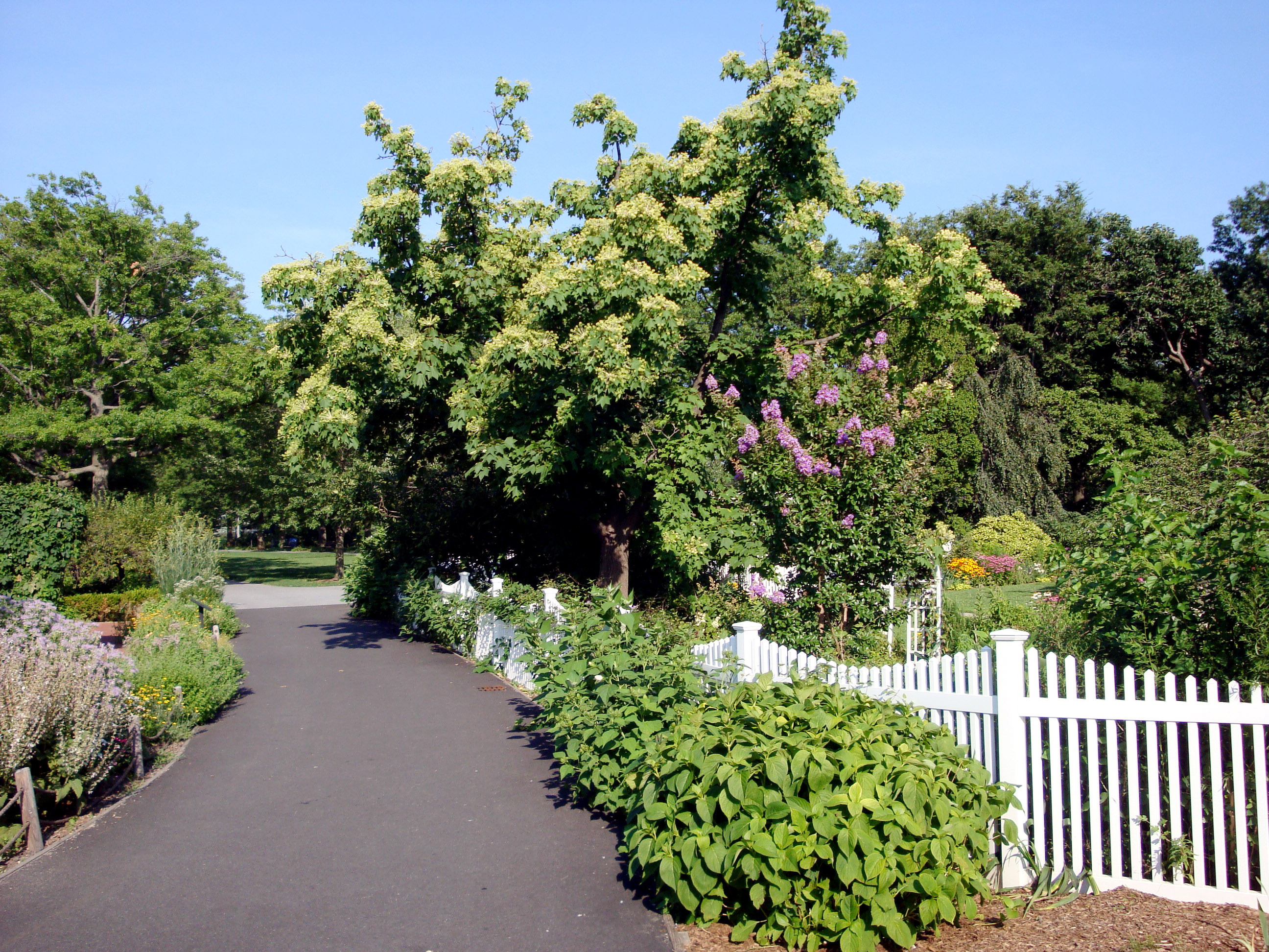 File Queens Botanical Garden Jpg Wikimedia Commons