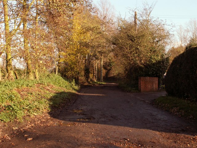 File:Road to Coleman's Farm - geograph.org.uk - 286031.jpg