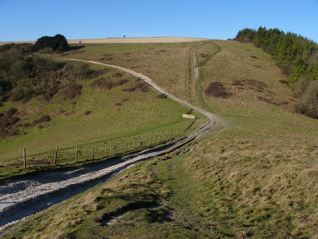 File:South Downs Way Pen Hill, looking towards Beacon Hill - geograph.org.uk - 684275.jpg