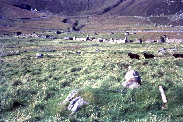 File:St Kilda - houses on Village Street, and sheep, 1967 - geograph.org.uk - 1268698.jpg