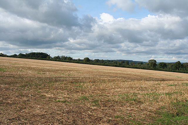 Stockland Castle