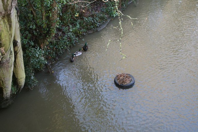 File:Tyre in the stream - geograph.org.uk - 1621957.jpg