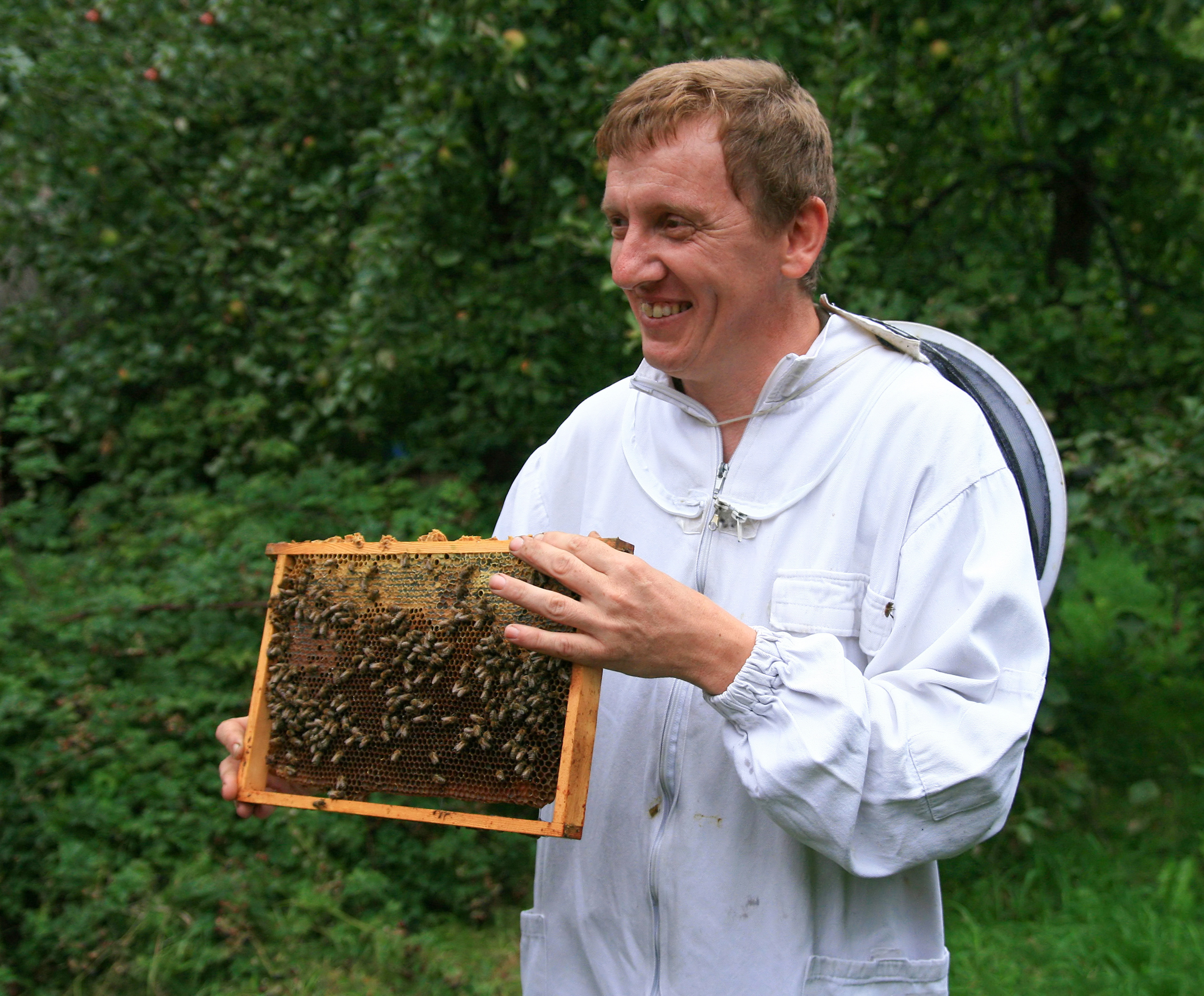 Beekeeper - Wikipedia