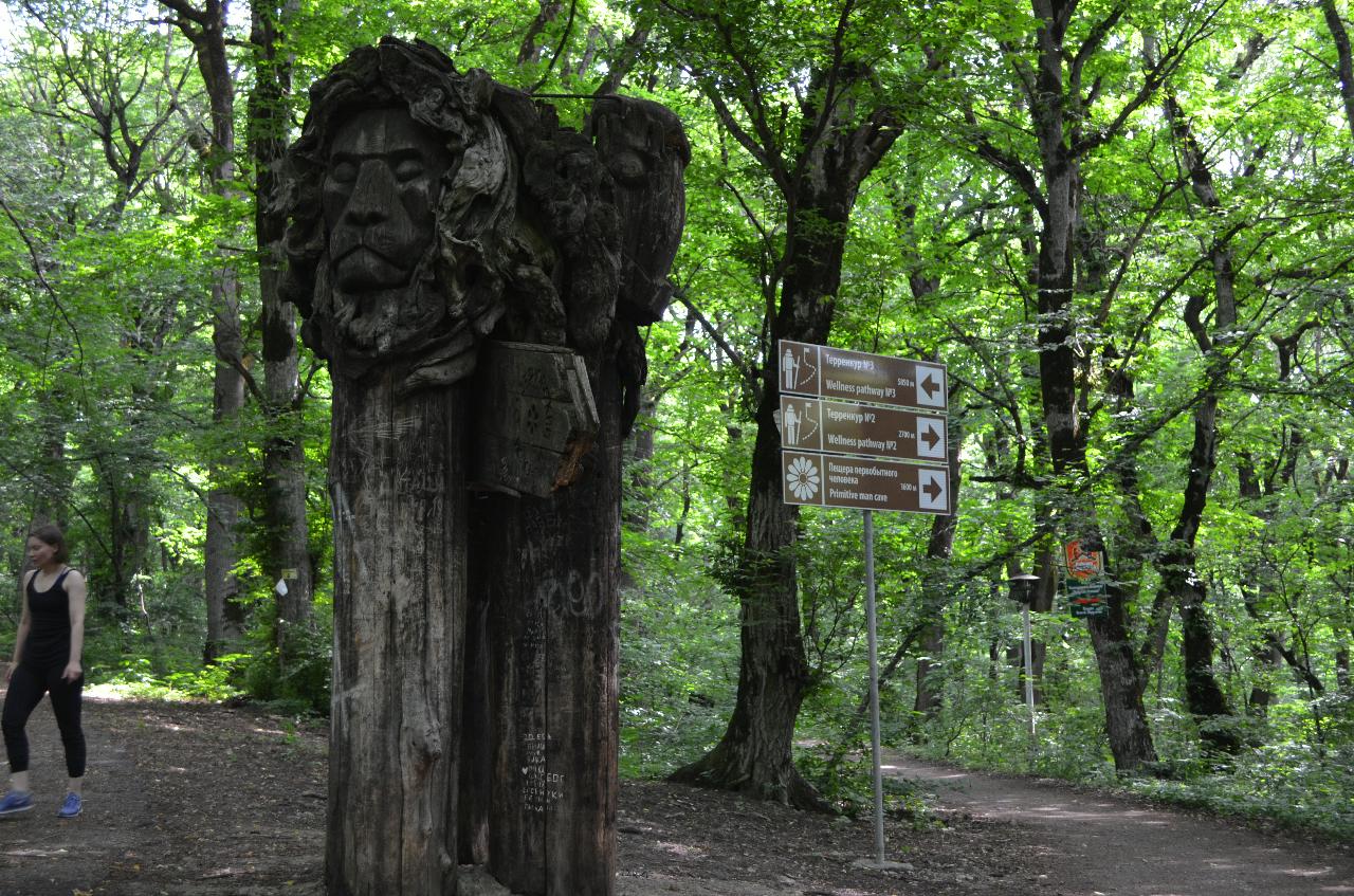 парк в железноводске