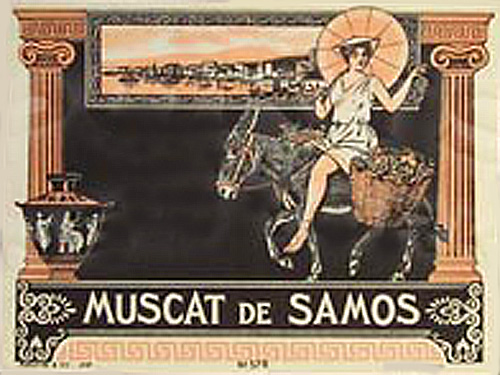 File:01 Muscat de Samos.jpg