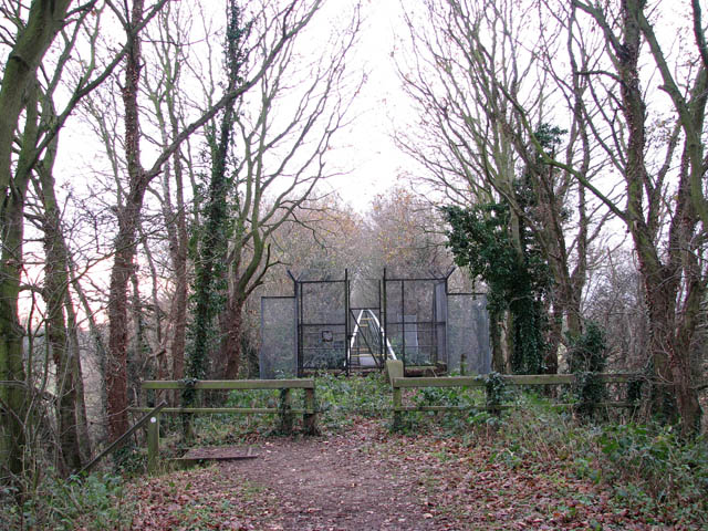 File:A diversion on the path - geograph.org.uk - 1073746.jpg