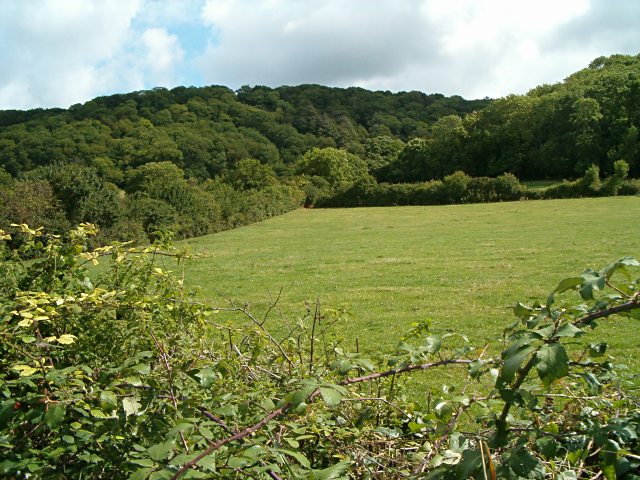 File:Allerwood.jpg