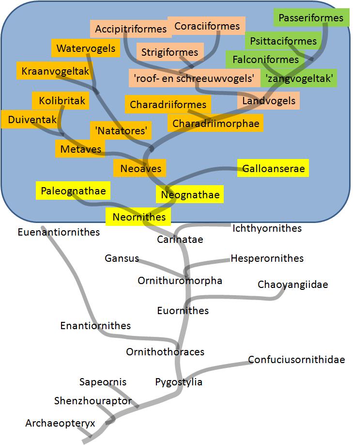 Kepritogel