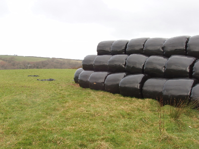 File:Bales in black plastic at Pencuke - geograph.org.uk - 715129.jpg