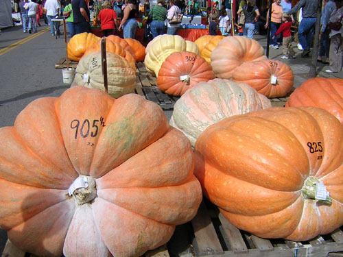 File:BarnesvillePumpkins.jpg