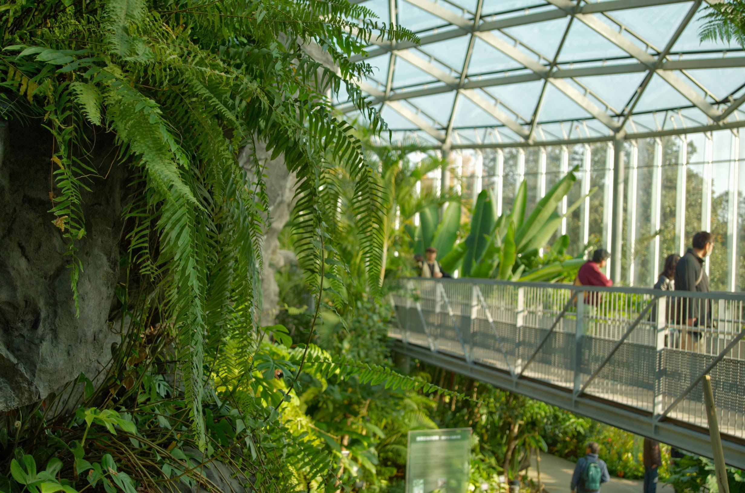 File Big Greenhouse Shinjuku Gyoen Shinjuku Imperial Garden 大温室 新宿御苑 Panoramio Jpg Wikimedia Commons