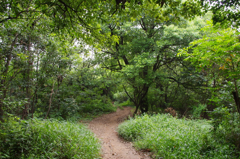 File:Binhu, Wuxi, Jiangsu, China - panoramio (43).jpg