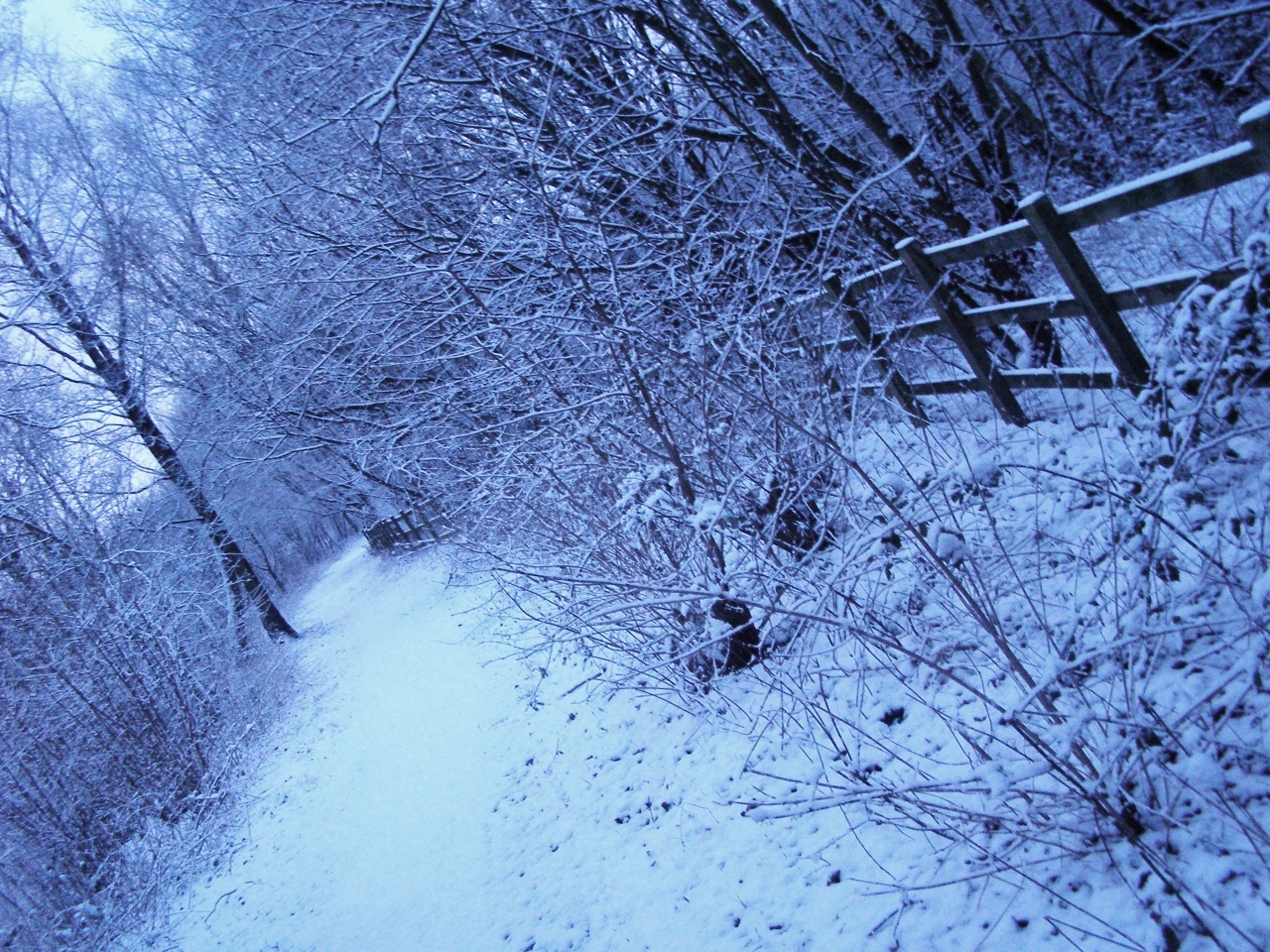 Blackwater Valley Path