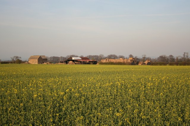 File:Brattleby Cliff - geograph.org.uk - 389920.jpg