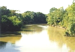 File:Cache River.jpg