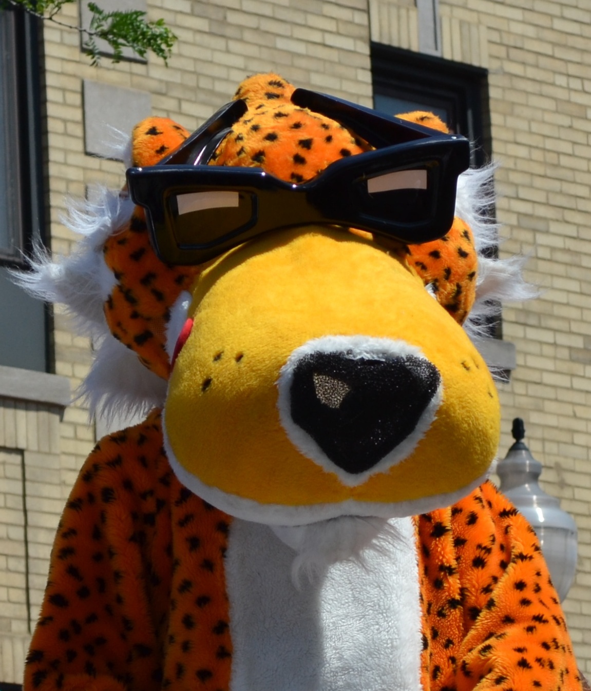 Chester Cheetah - Wikipedia