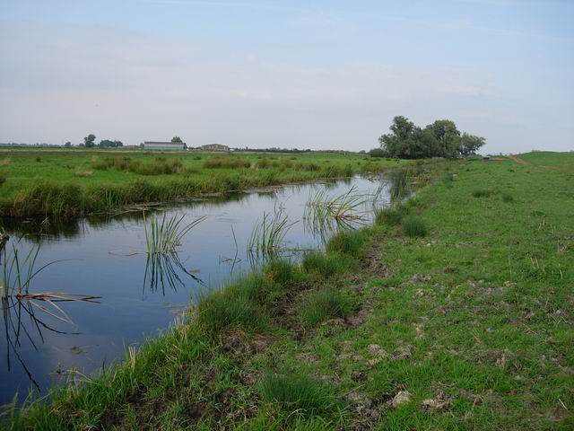 File:Counter Drain - geograph.org.uk - 551112.jpg