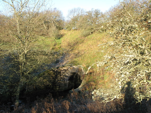 File:Culvert under an embankment on the former Hexham to Allendale railway line - geograph.org.uk - 635847.jpg