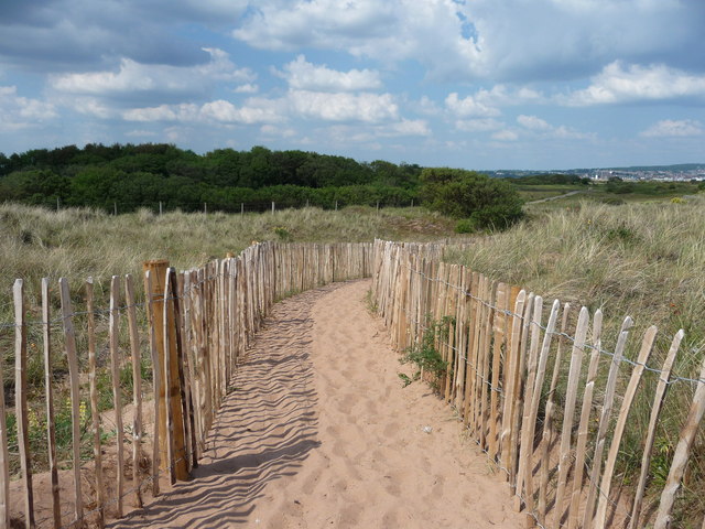 File:Dawlish Warren , National Nature Reserve and Sandy Path - geograph.org.uk - 1345760.jpg