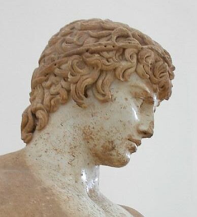 File:Delphiantinous.jpg