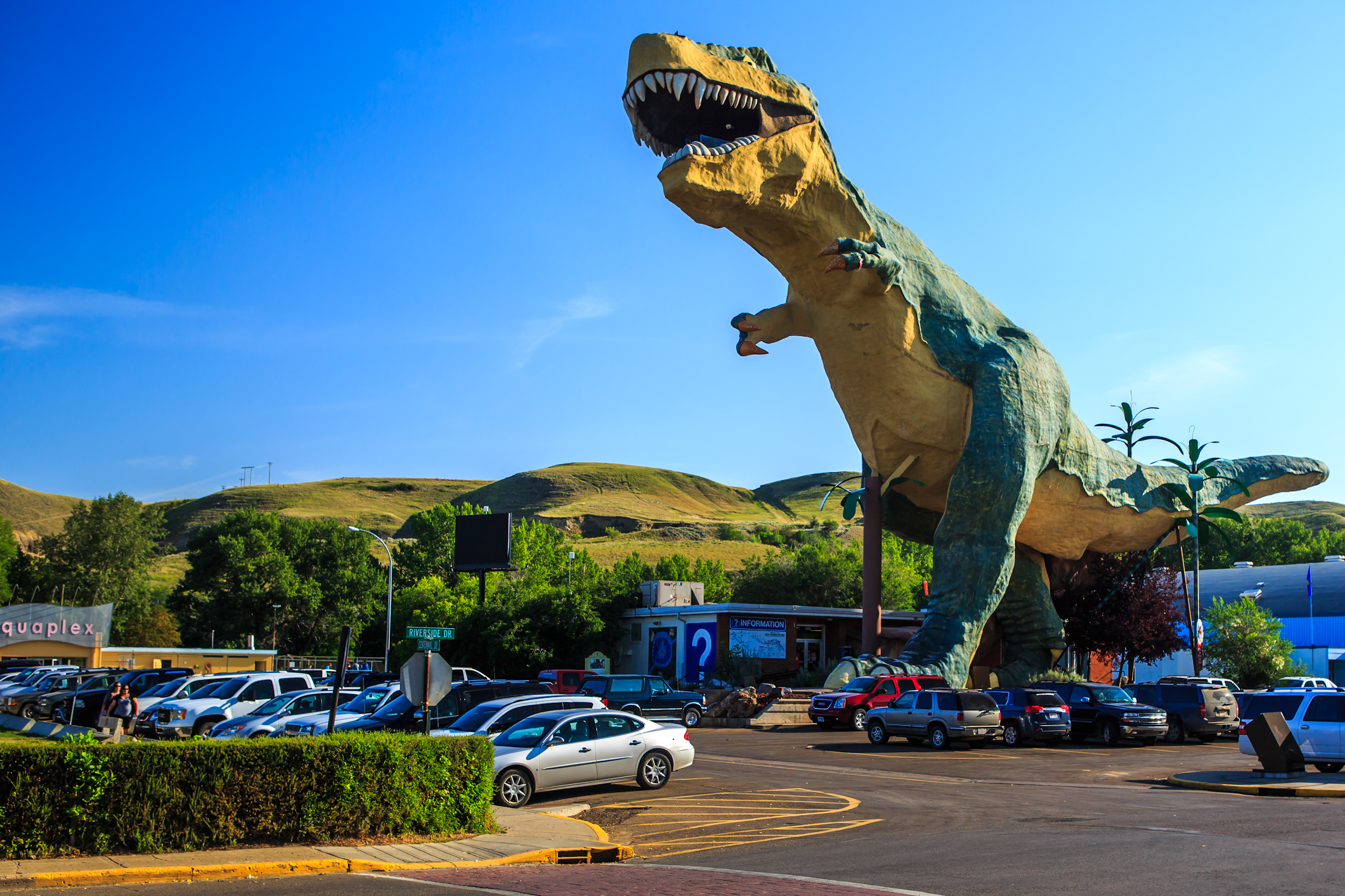 World's largest. Динозавр в Drumheller Alberta Canada. Драмхеллер огромный динозавр. США достопримечательности динозавры. Город динозавров Америка.