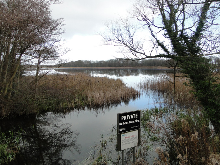 Trinity Broads