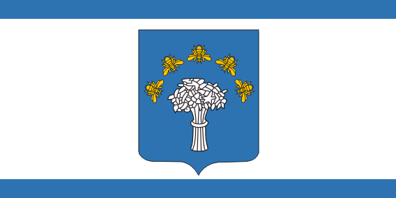 Plik:Flag of Červień, Belarus.png