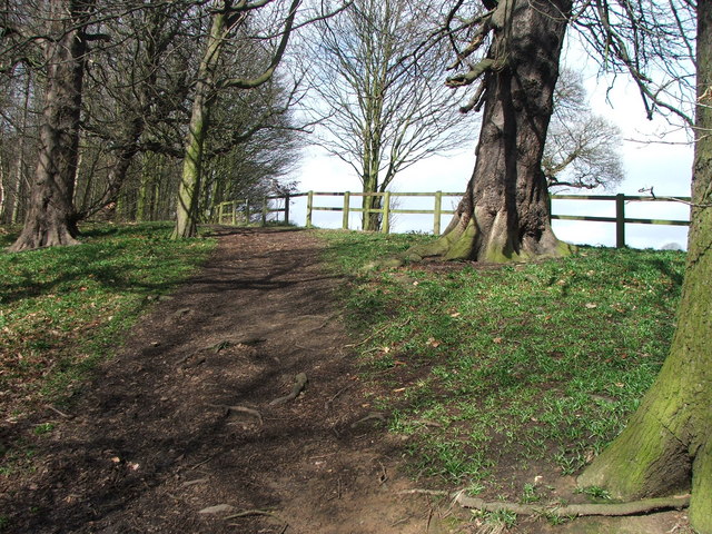 File:Footpath in the Garden Plantation. - geograph.org.uk - 144208.jpg