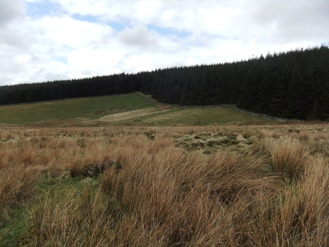 File:Fields and hillock - geograph.org.uk - 502827.jpg - Wikipedia