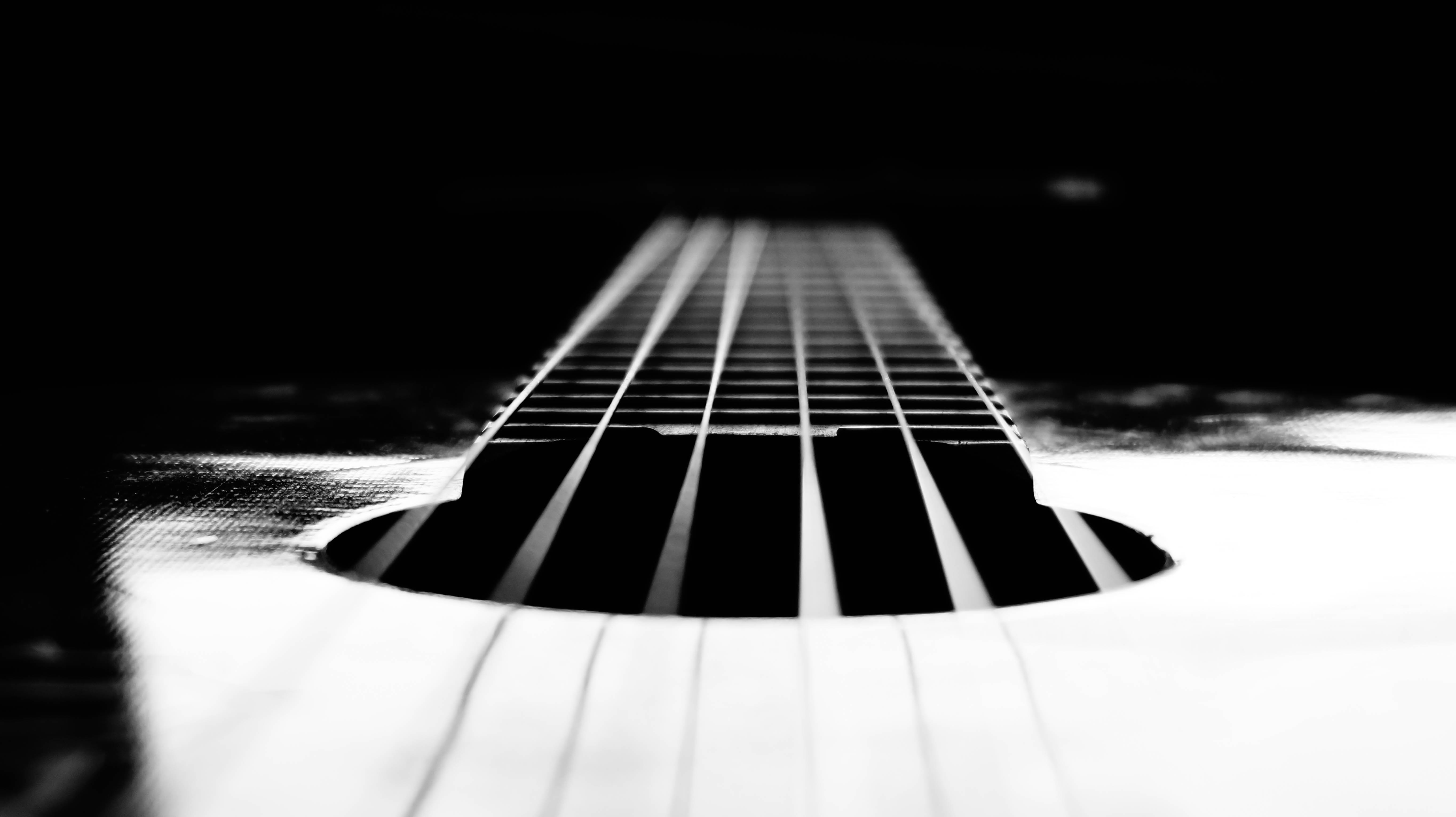 Гитара в черно белом цвете