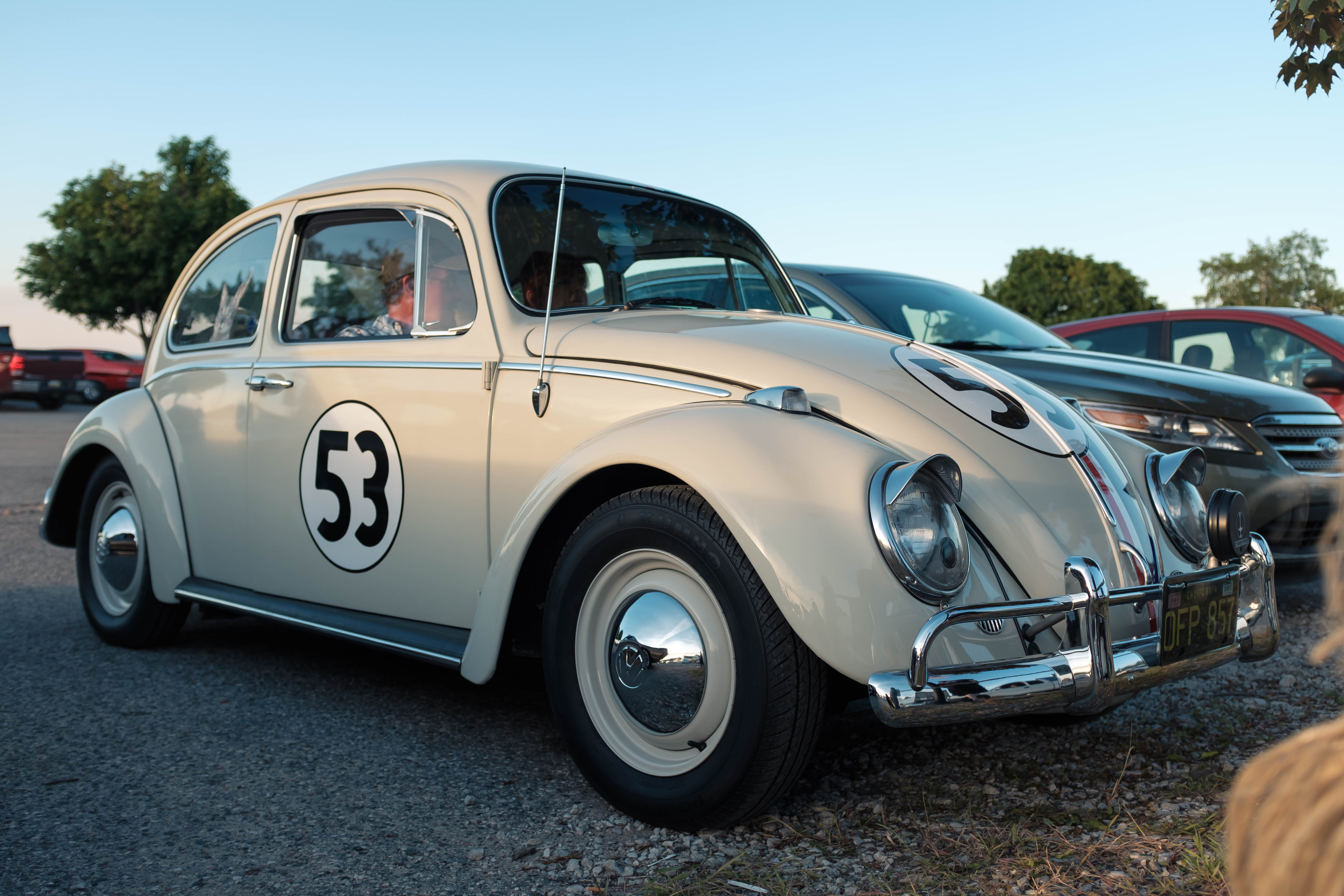 herbie love bug