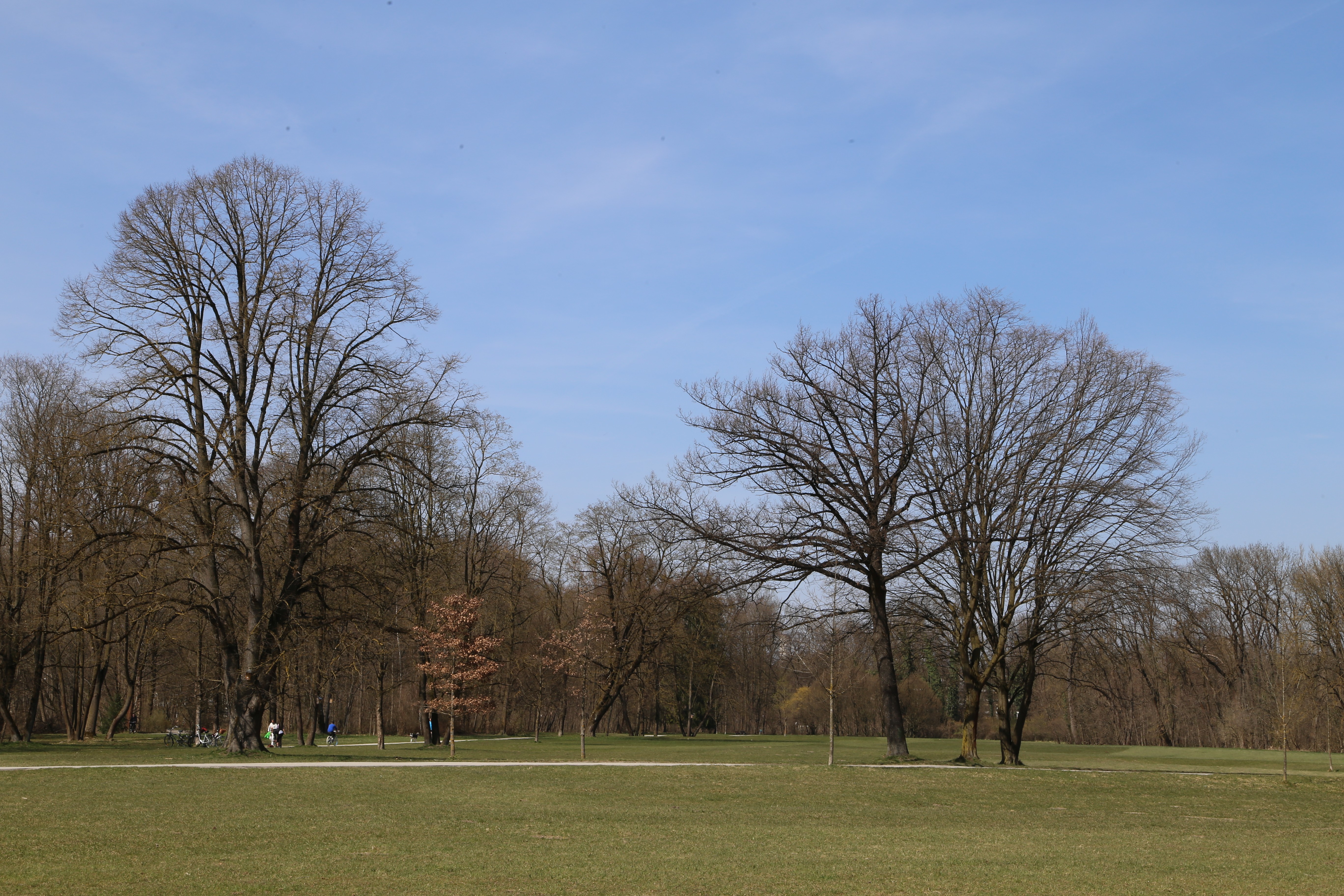 File Hirschau Englischer Garten Nordteil Muenchen 11 Jpg