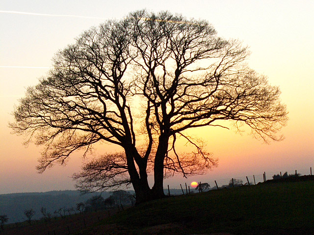 File:Hornsby sunset - geograph.org.uk - 379737.jpg