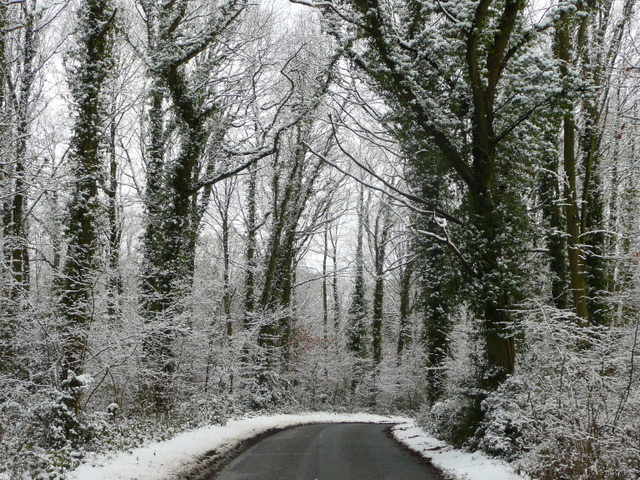 File:Kempley Road 3 - geograph.org.uk - 1156984.jpg