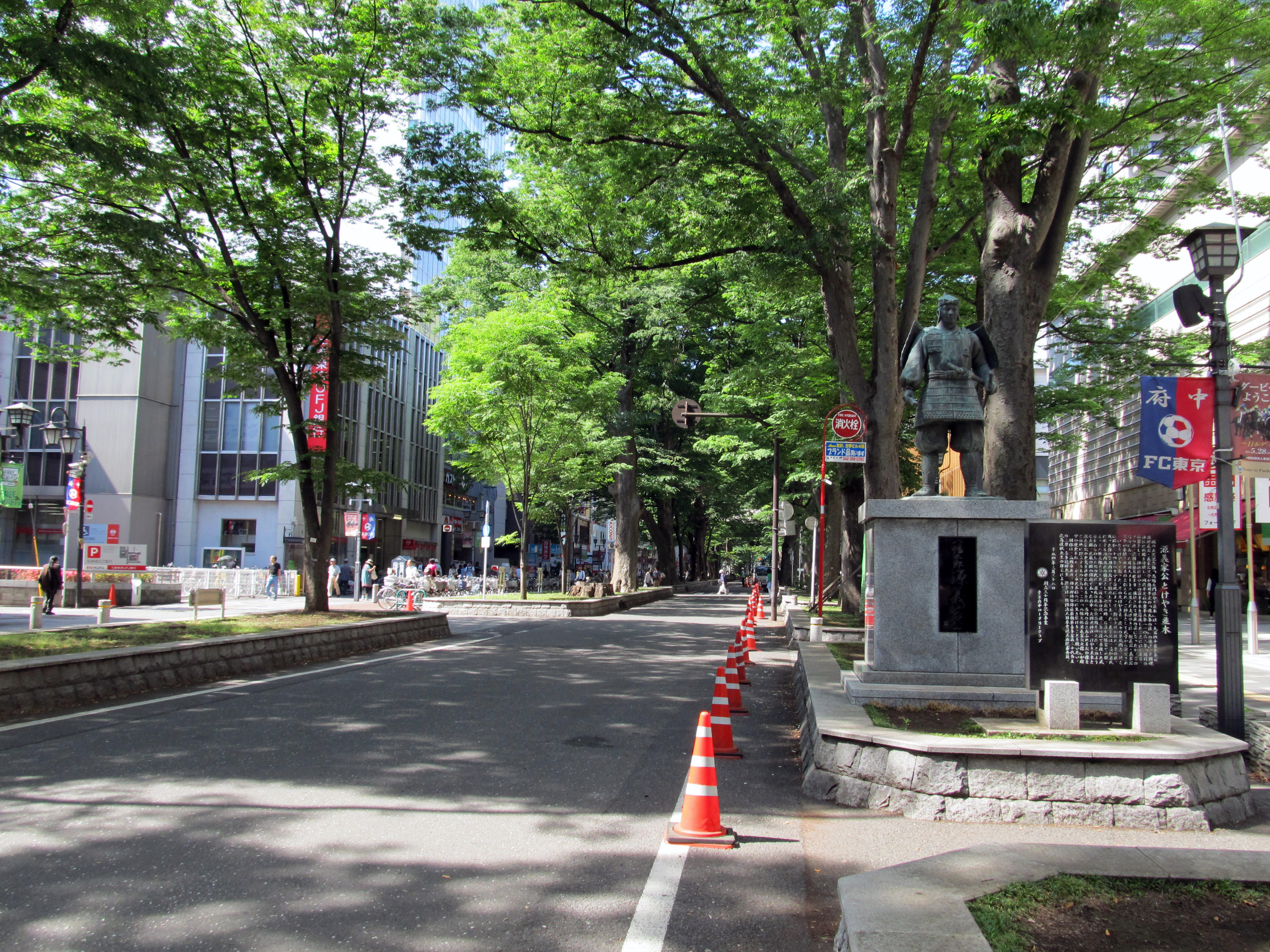 File Keyaki Namiki Dori Fuchu Jpg Wikimedia Commons